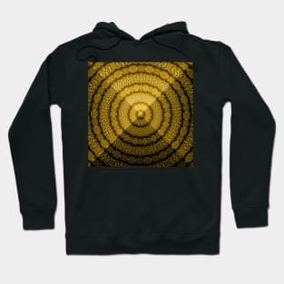 Sacred Geometry 3D Gold Titanium Pyramid Architecture Hoodie